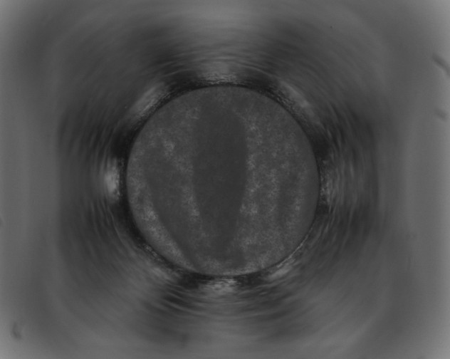 X0000092250124200710121307