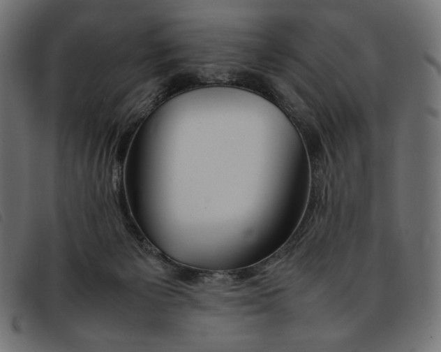 X0000092250125200710121307
