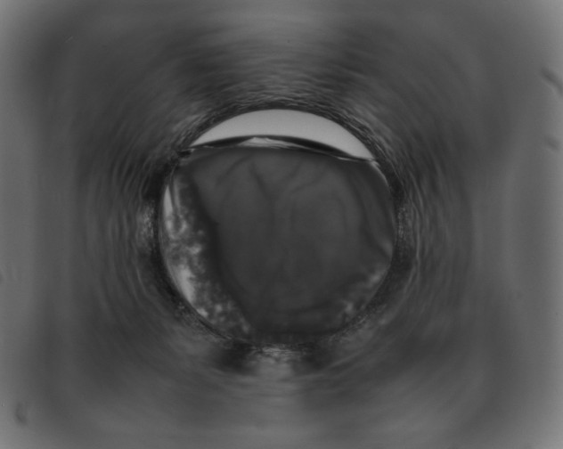 X0000092250127200710121307