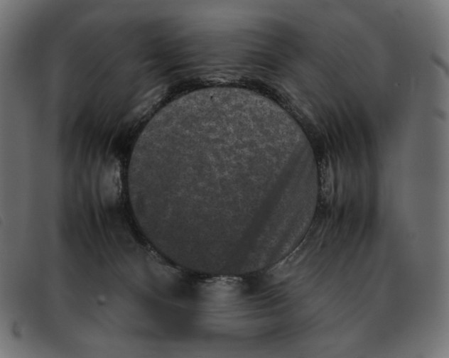 X0000092250128200710121307