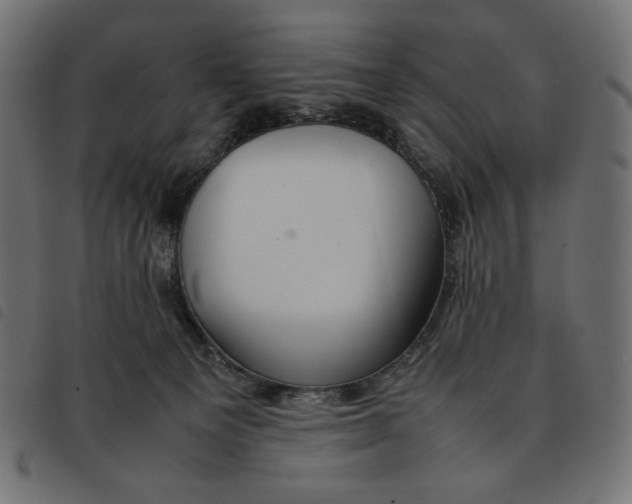 X0000092250129200710121307