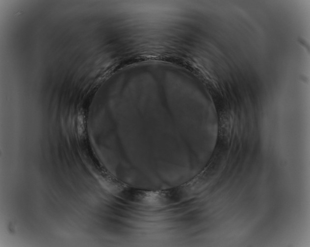 X0000092250130200710121307