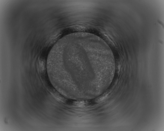 X0000092250131200710121307
