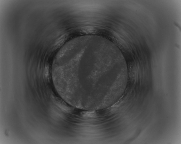X0000092250132200710121307