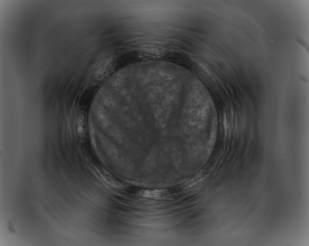 X0000092250134200710121307