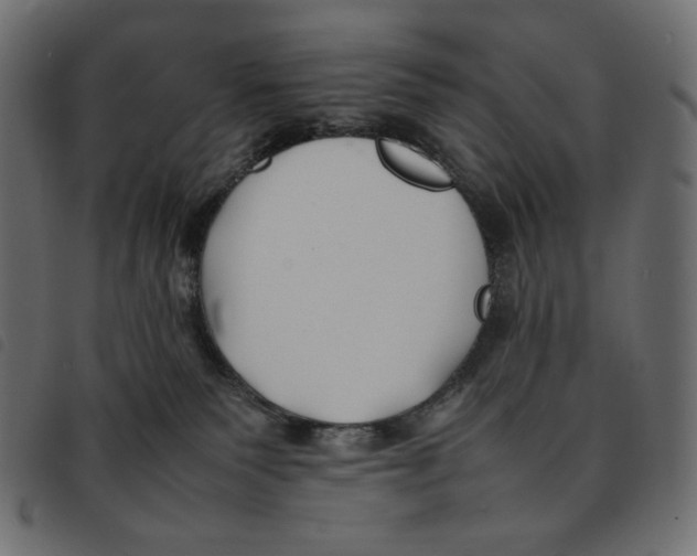 X0000092250135200710121307