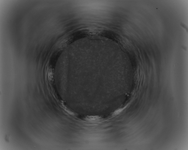 X0000092250137200710121307