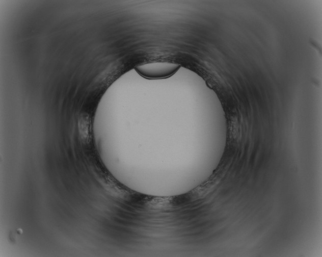 X0000092250138200710121307