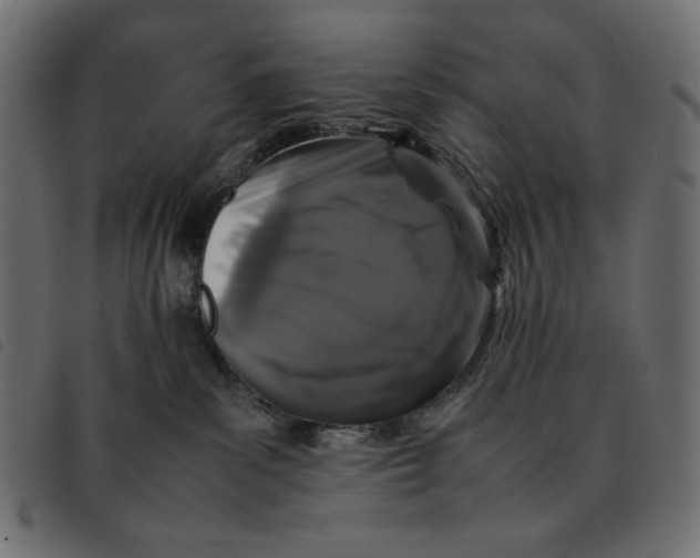 X0000092250139200710121307