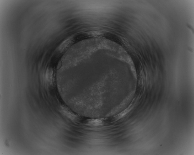 X0000092250140200710121307
