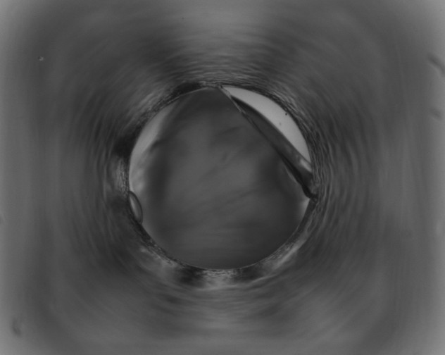 X0000092250143200710121307