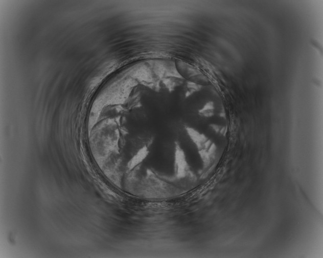 X0000092250145200710121306
