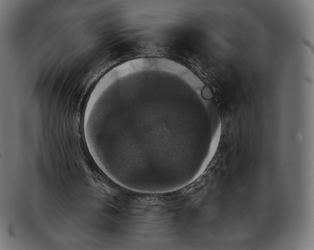 X0000092250146200710121306