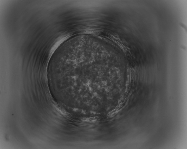 X0000092250147200710121306
