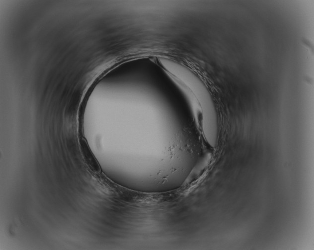 X0000092250148200710121306