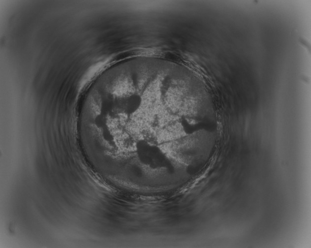 X0000092250149200710121306