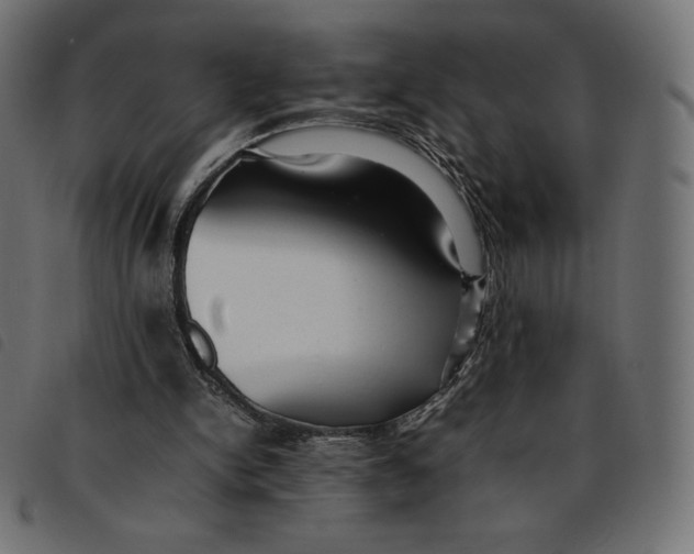 X0000092250150200710121306