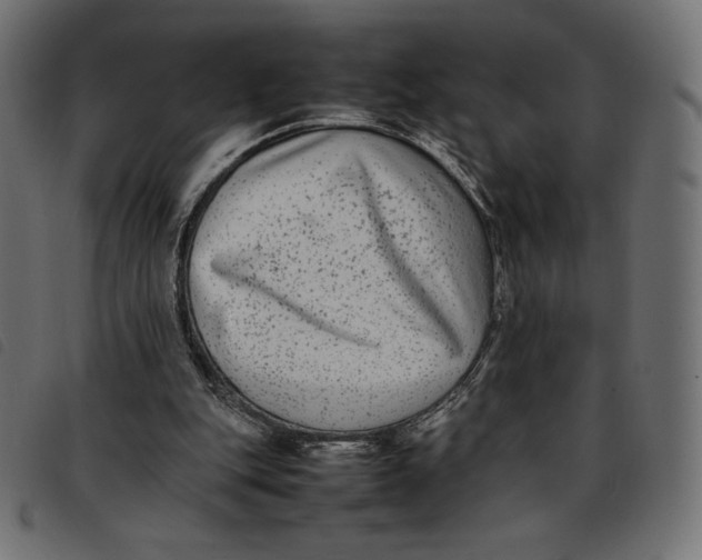 X0000092250151200710121306