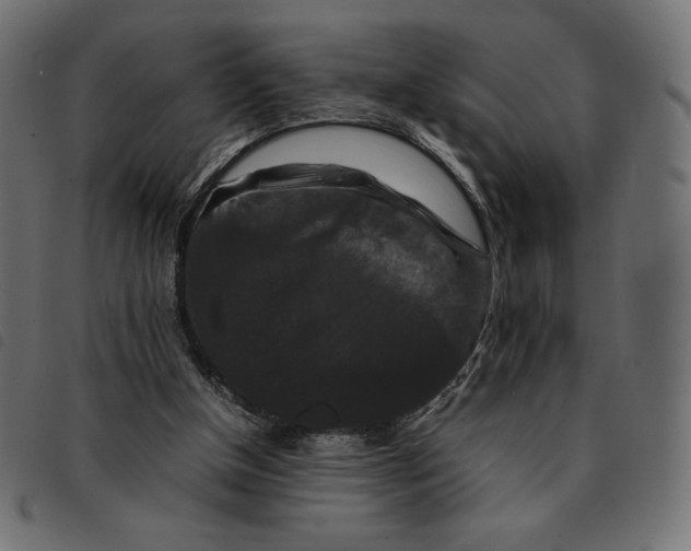 X0000092250154200710121306