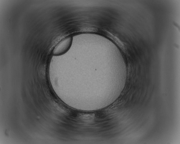 X0000092250155200710121306
