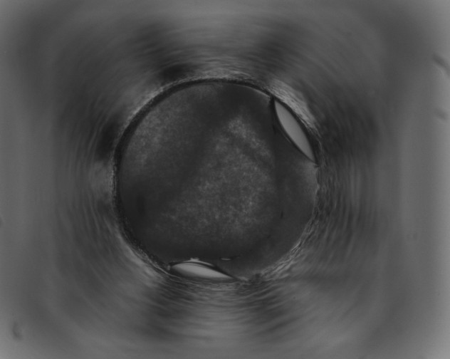 X0000092250156200710121306