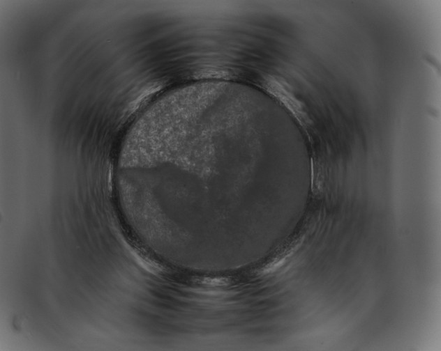 X0000092250157200710121306