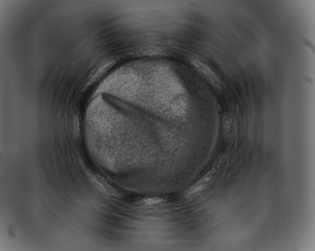 X0000092250158200710121306