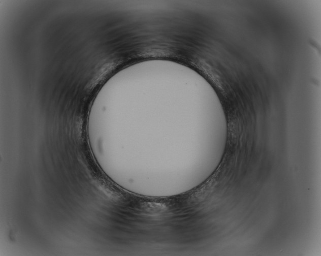 X0000092250159200710121306