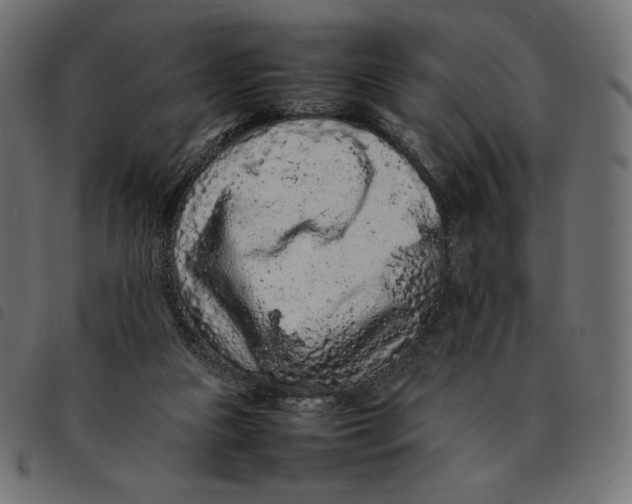 X0000092250161200710121306