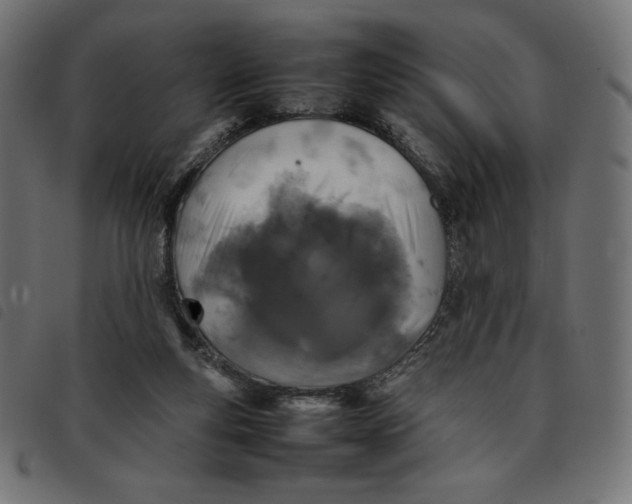 X0000092250163200710121306