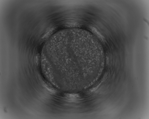 X0000092250165200710121306