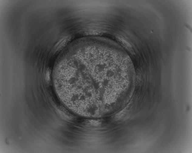 X0000092250166200710121306