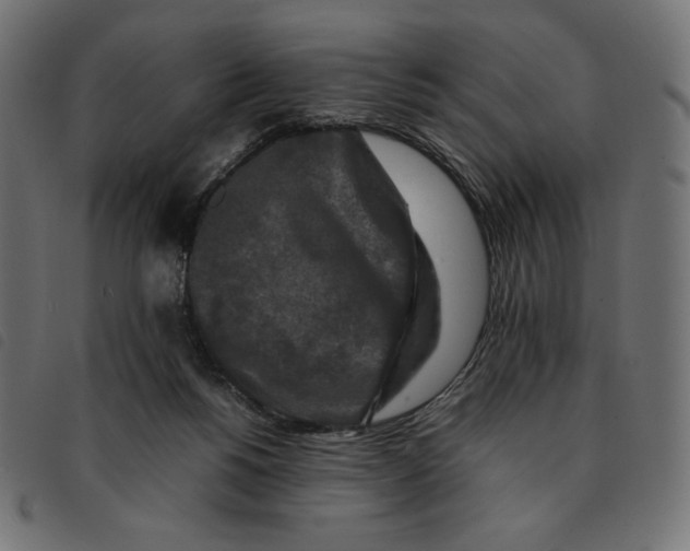 X0000092250168200710121306