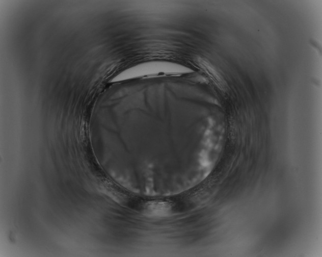 X0000092250169200710121306
