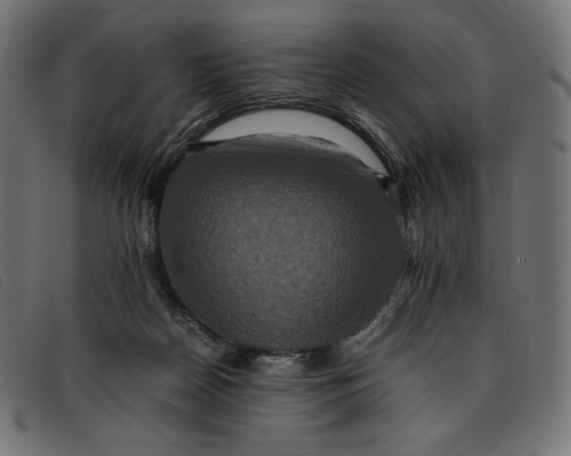 X0000092250170200710121306