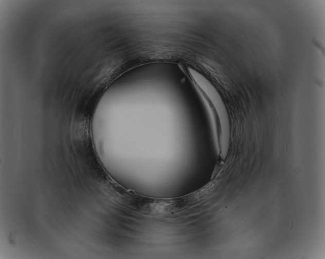 X0000092250172200710121306