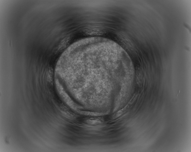 X0000092250175200710121307