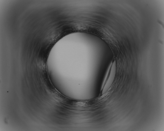 X0000092250176200710121307
