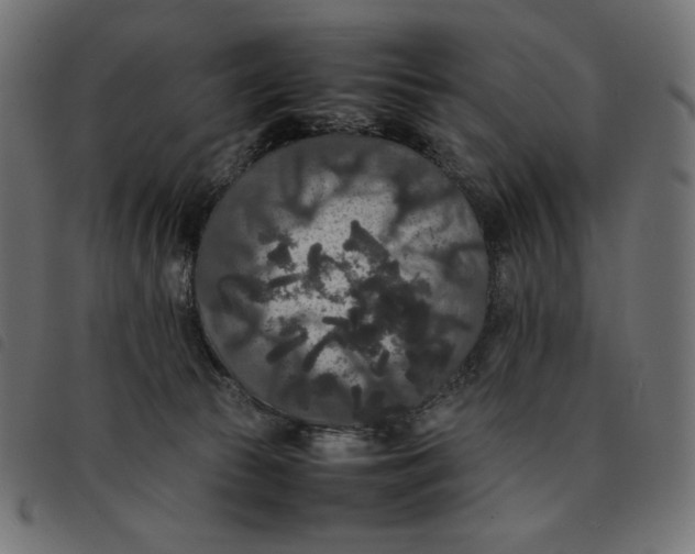 X0000092250177200710121307