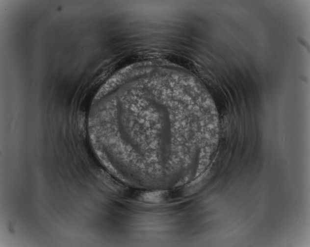 X0000092250178200710121307