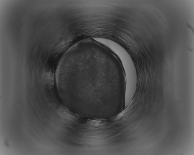 X0000092250180200710121307