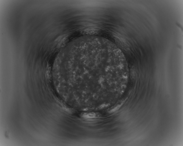 X0000092250181200710121307