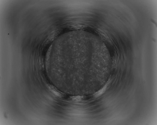 X0000092250182200710121307