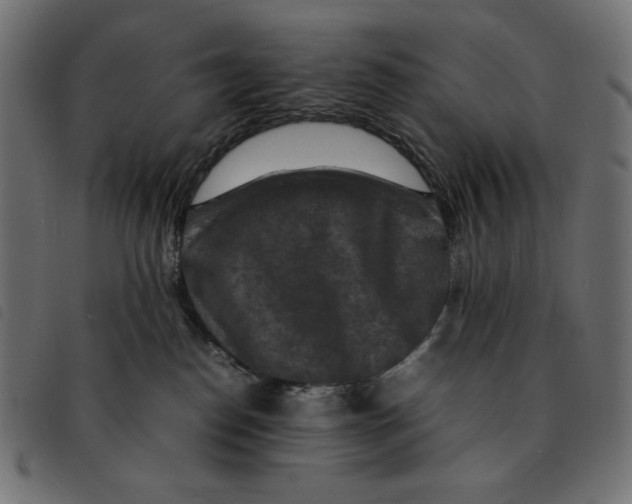 X0000092250186200710121307