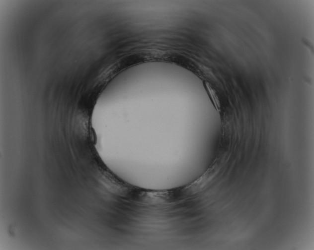 X0000092250188200710121307