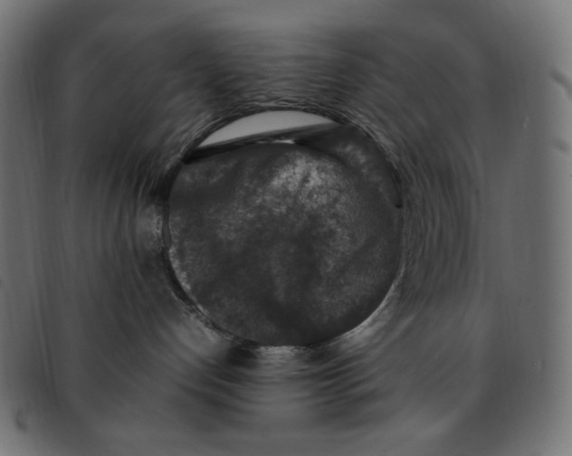 X0000092250192200710121307