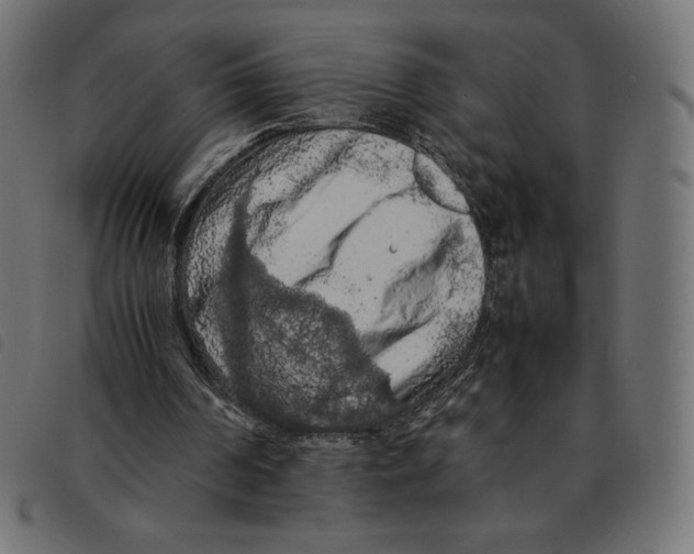 X0000092250194200710121306