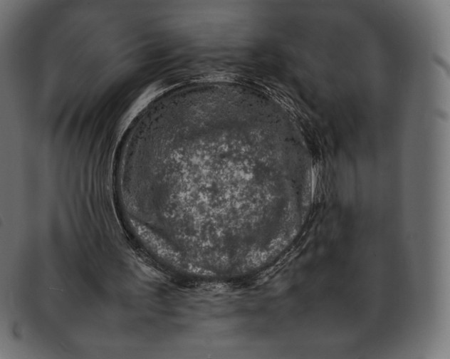 X0000092250195200710121306