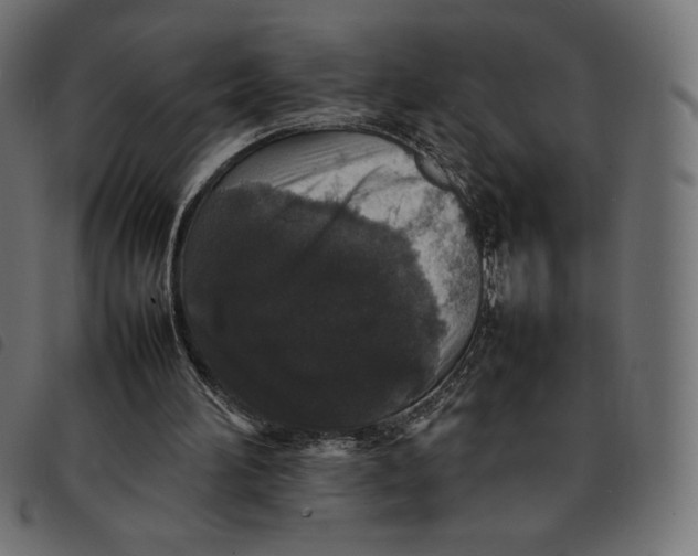 X0000092250196200710121306