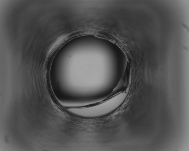 X0000092250197200710121306